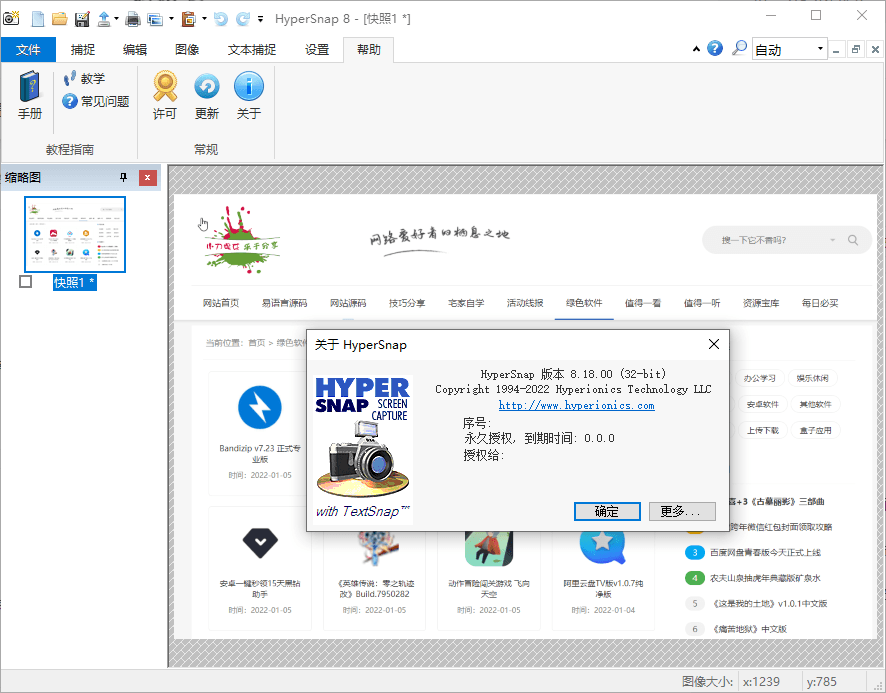 HyperSnap v9.8.0便携汉化版-达令博客