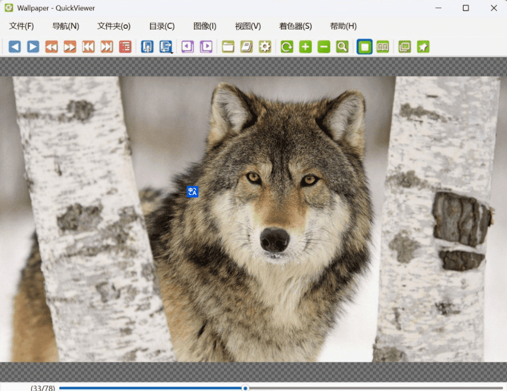 Windows QuickViewer 快速看图_v1.2.8-达令博客