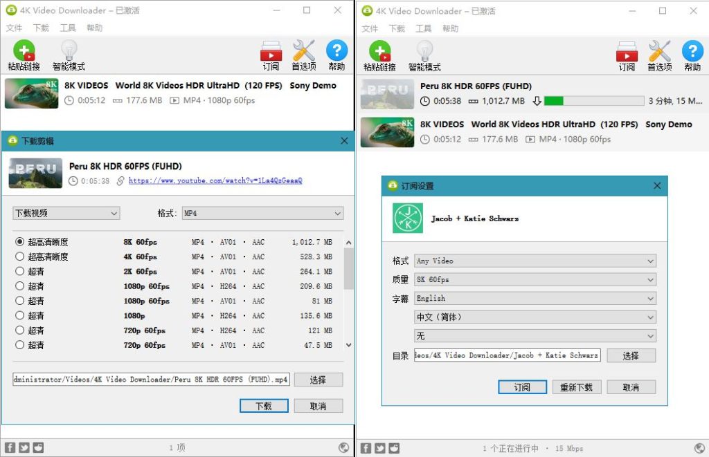 4K Video Downloader v4.33.2.0164/ Plus v1.10.2.0160 中文绿色便携版-达令博客